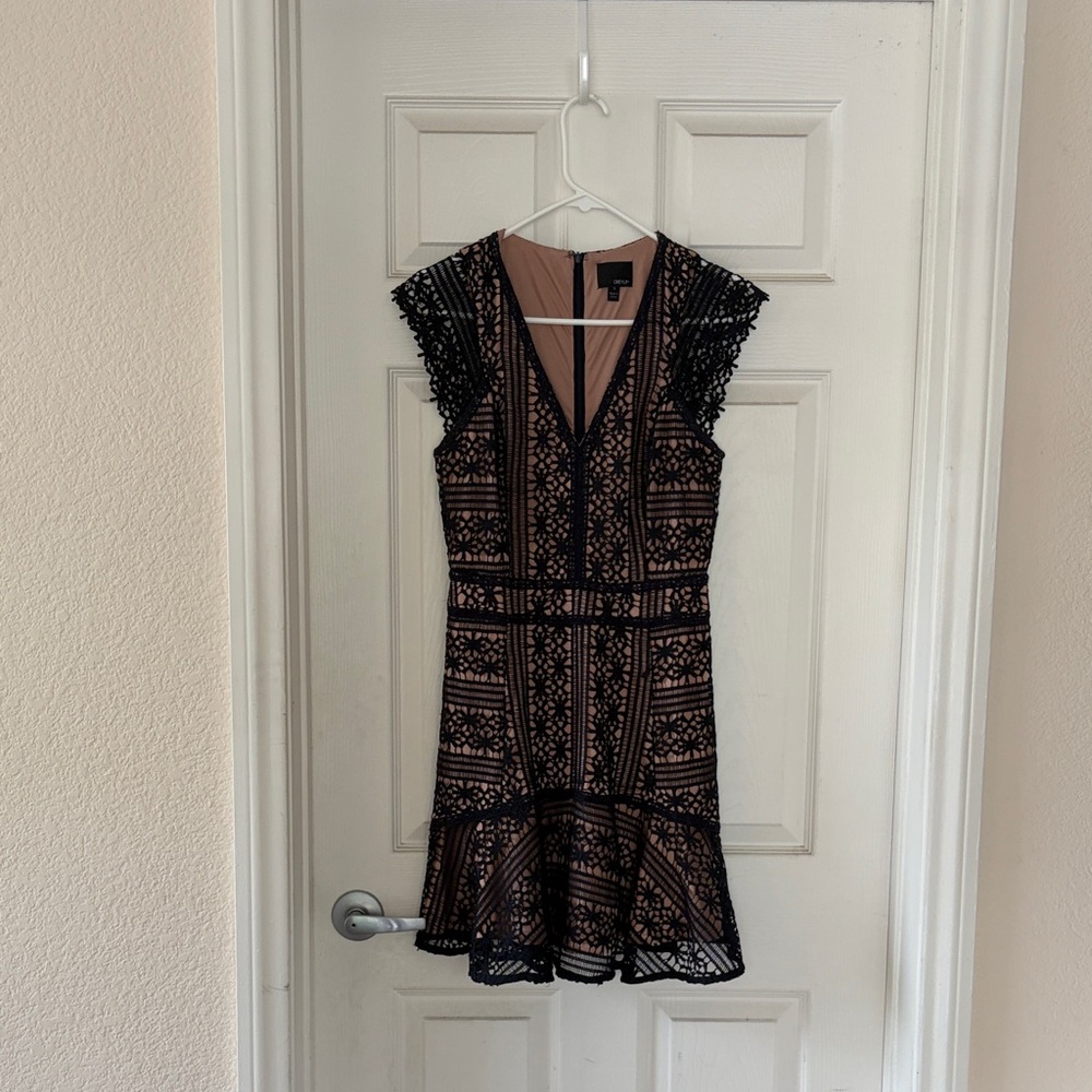 Black Lace Overlay Nude Sheath Dress